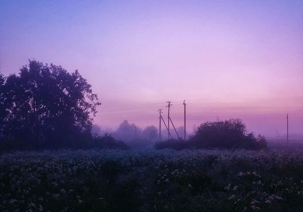 乐鱼体育：用热爱与数据点亮你的体育娱乐之旅